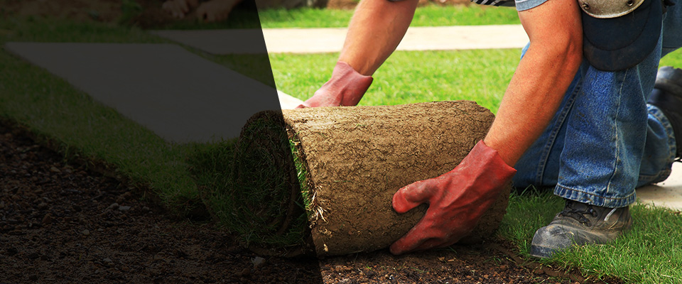 Renville Landscapers